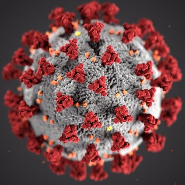 WHO declares pandemic status for Covid-19 WHO declares pandemic status for Covid-19